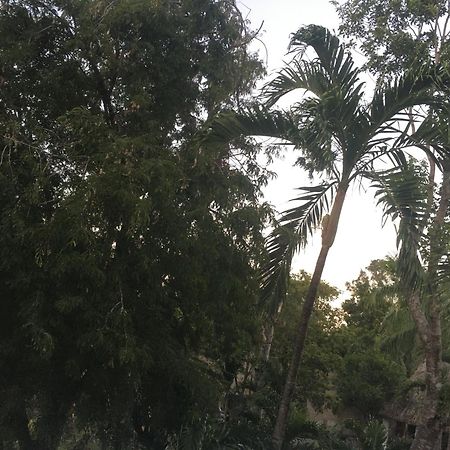 Green Paradise Leona Vicario Zewnętrze zdjęcie