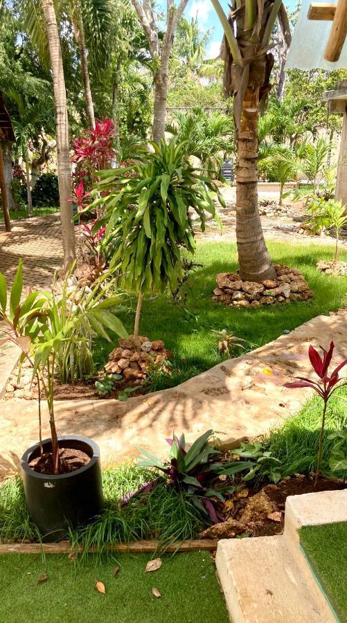 Green Paradise Leona Vicario Zewnętrze zdjęcie