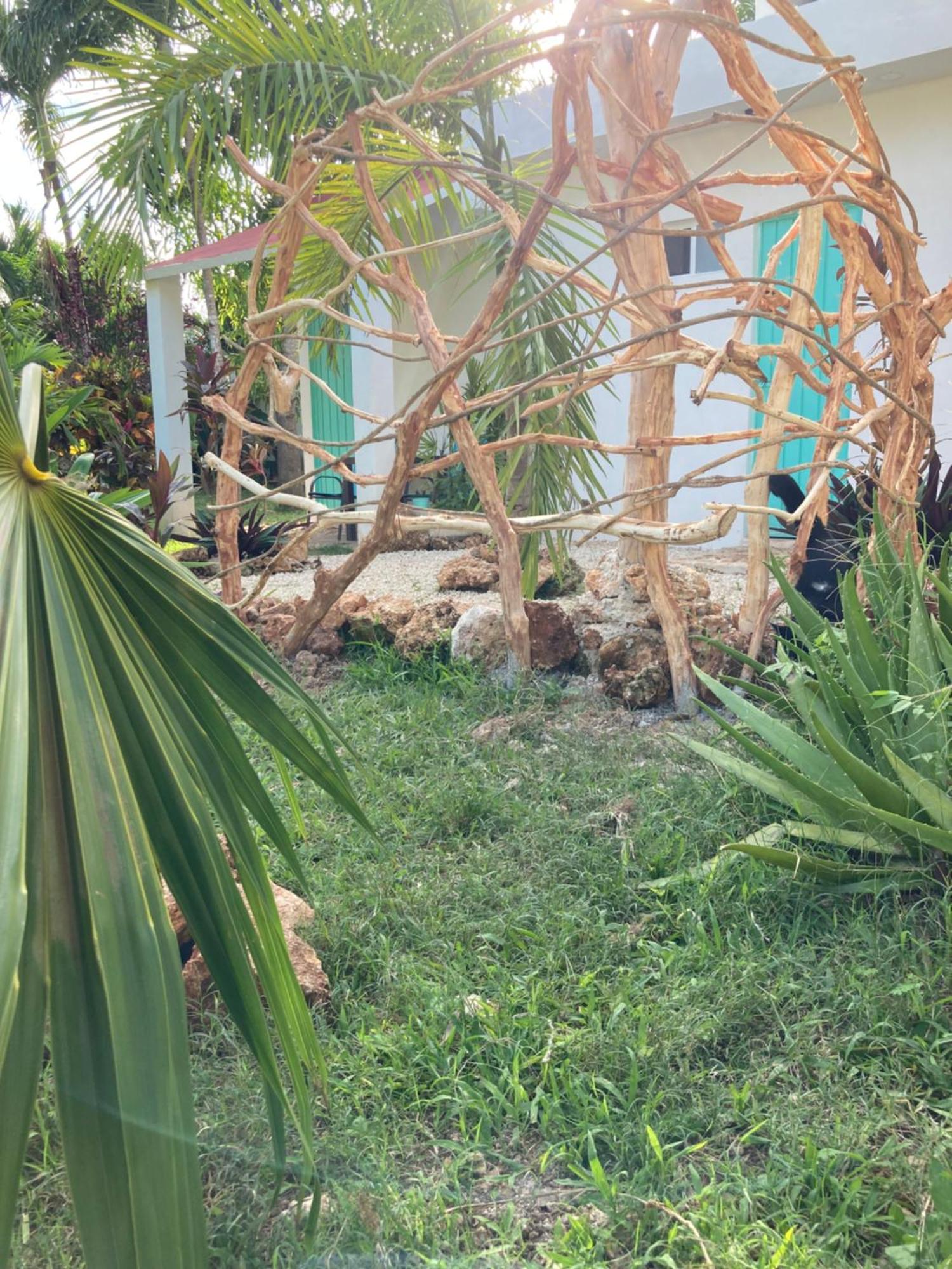 Green Paradise Leona Vicario Zewnętrze zdjęcie