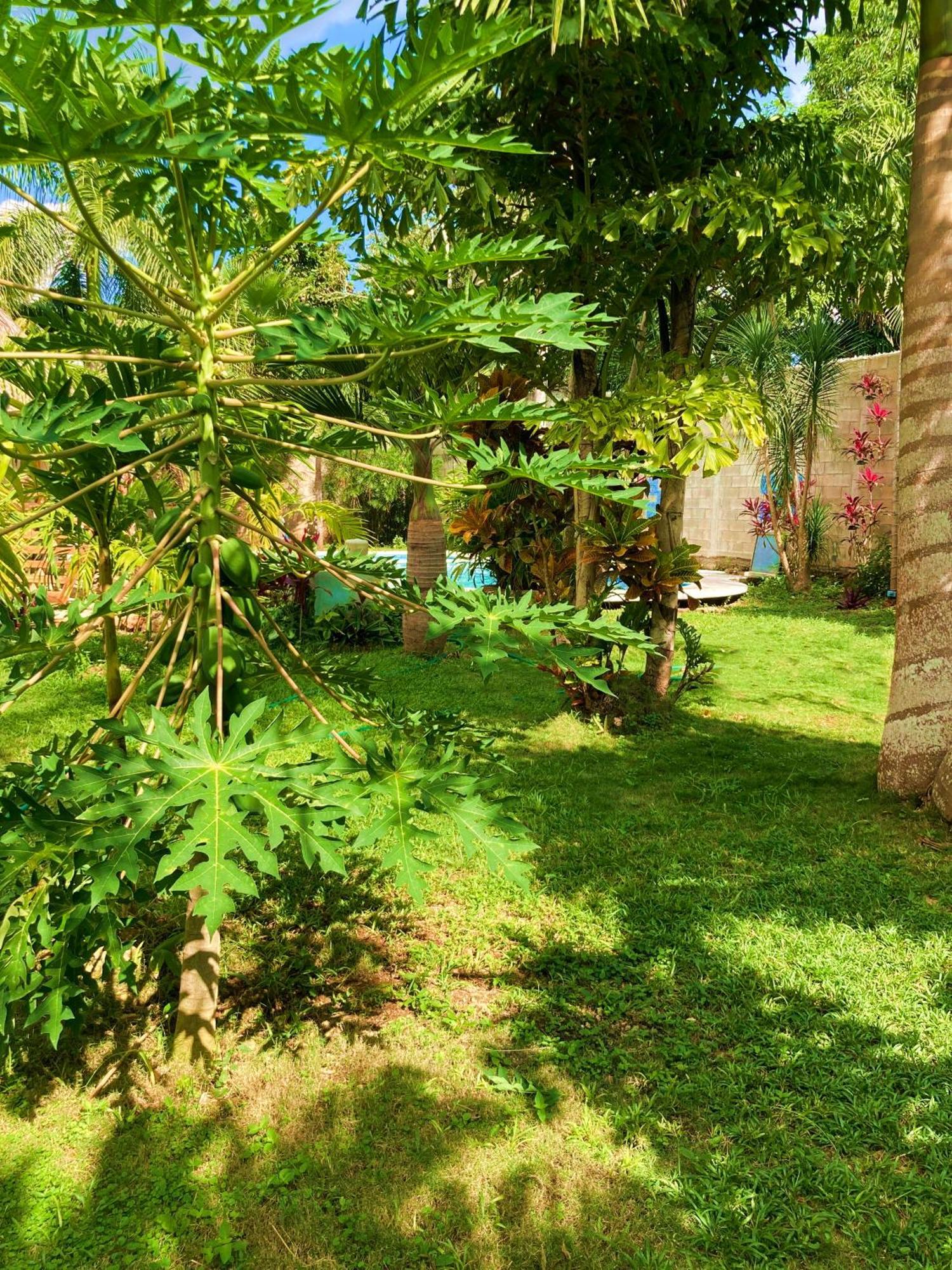Green Paradise Leona Vicario Zewnętrze zdjęcie