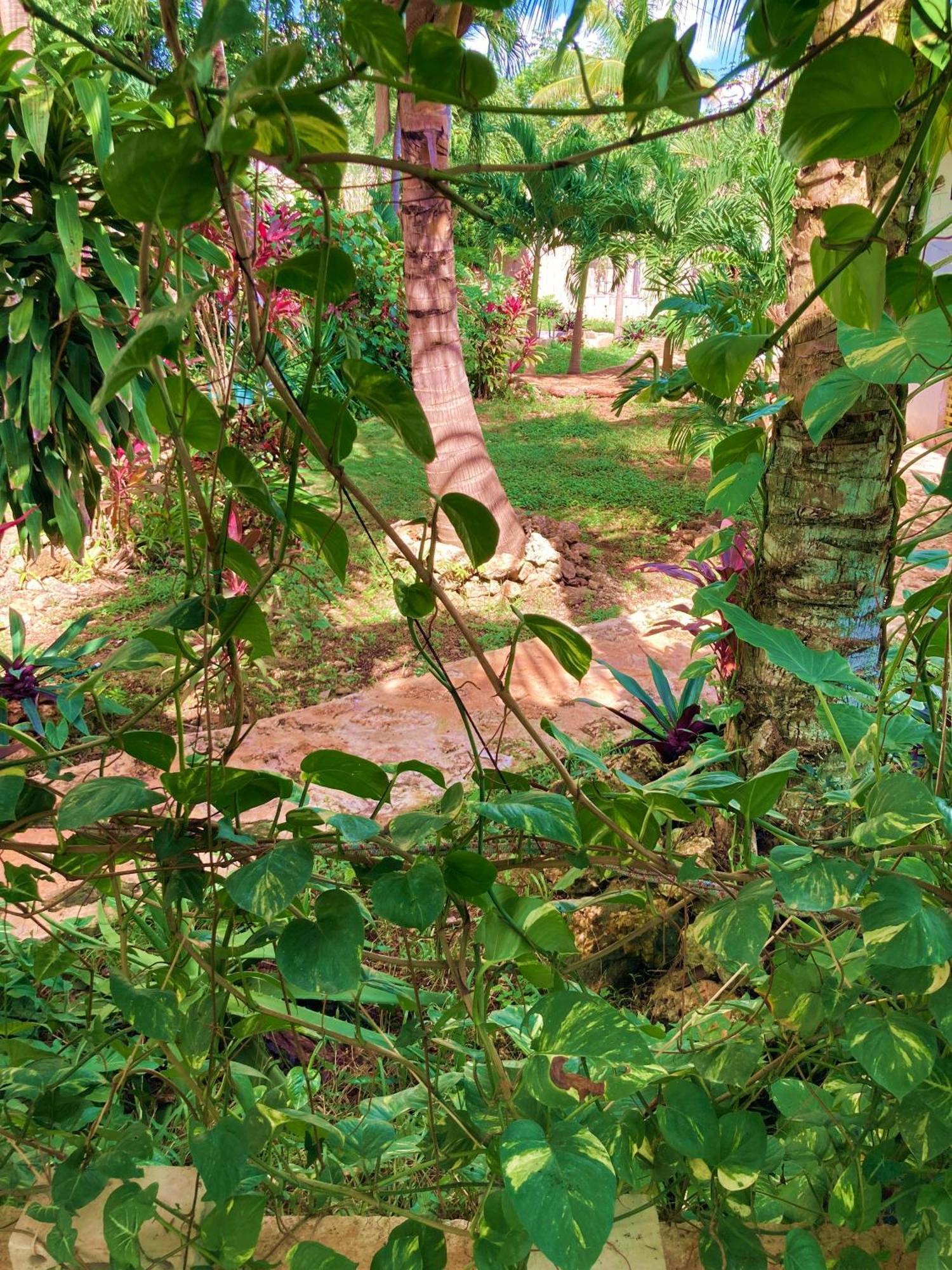 Green Paradise Leona Vicario Zewnętrze zdjęcie