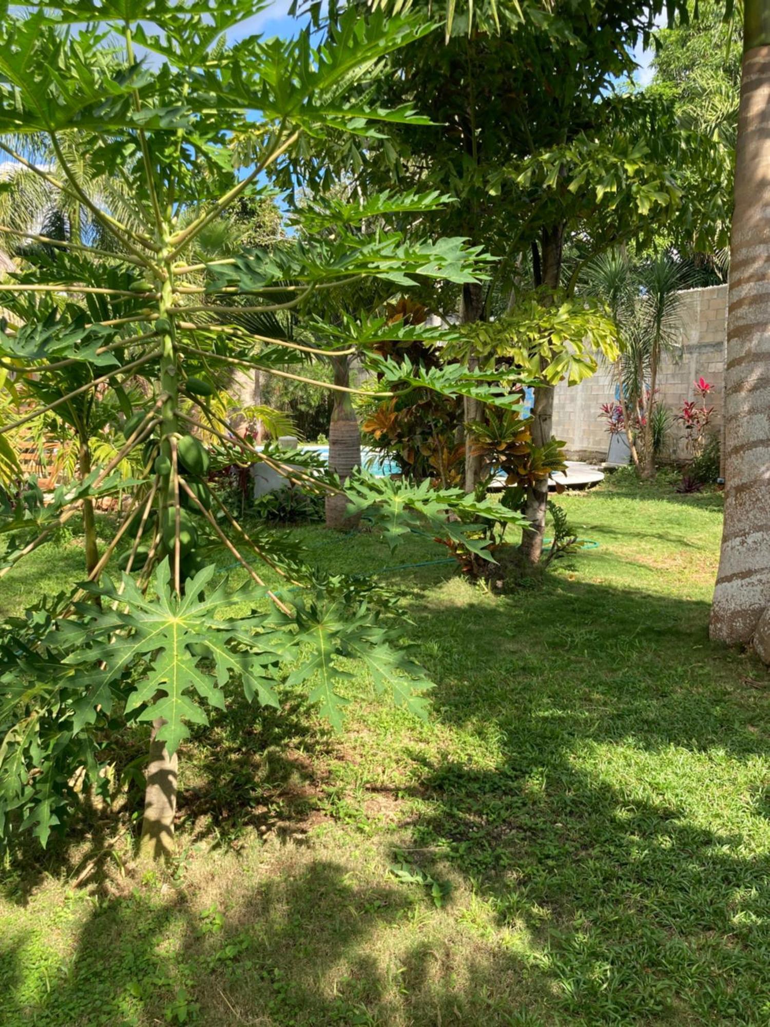 Green Paradise Leona Vicario Zewnętrze zdjęcie