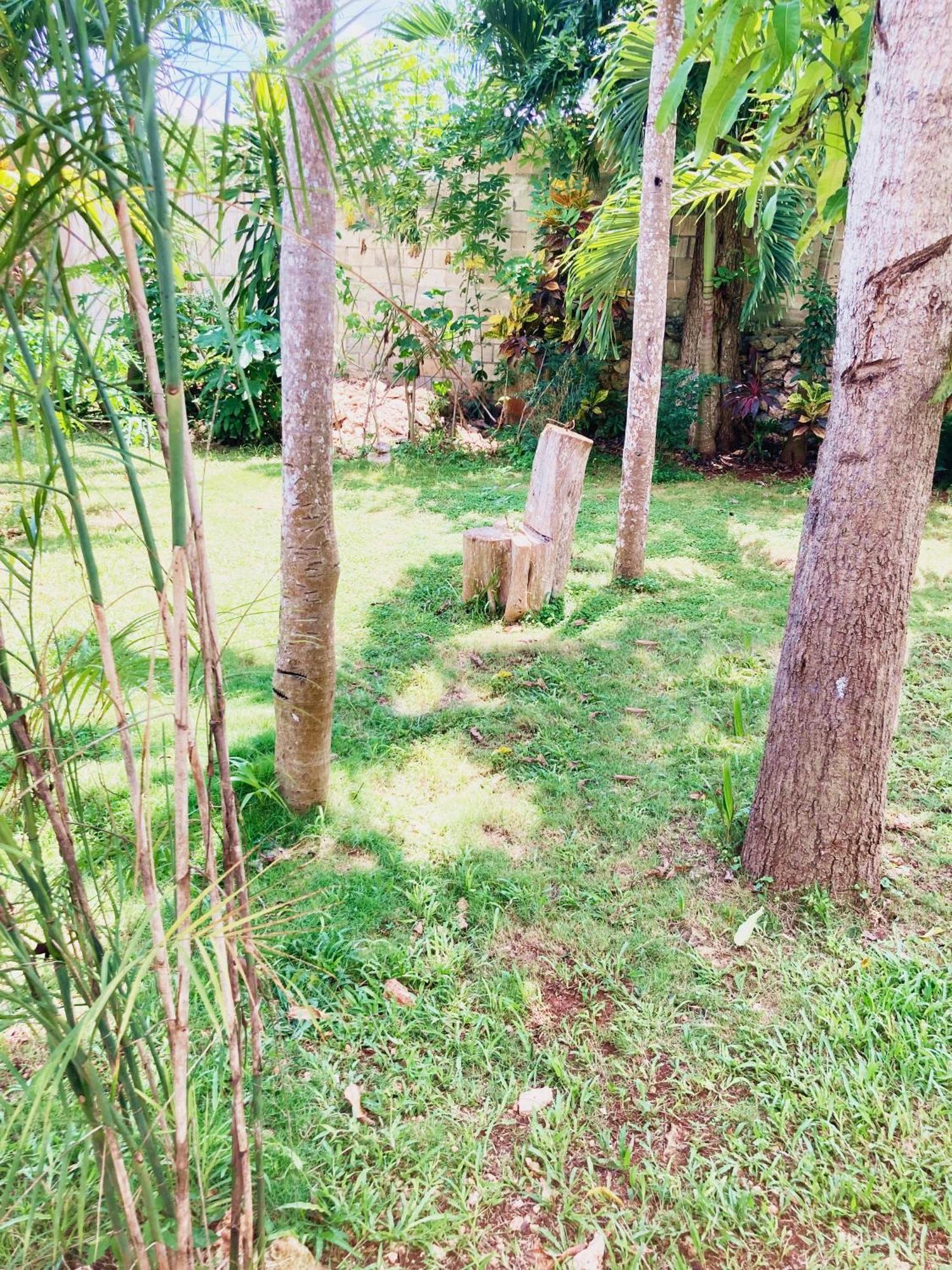 Green Paradise Leona Vicario Zewnętrze zdjęcie